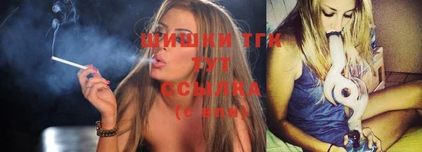 твердый Арсеньев