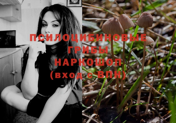 метадон Аркадак
