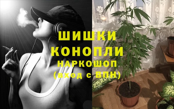 твердый Арсеньев