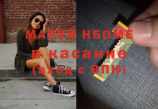 твердый Арсеньев