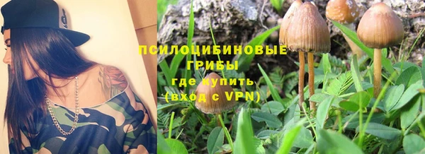 твердый Арсеньев