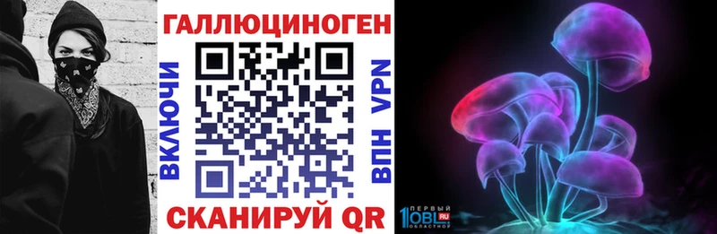 Псилоцибиновые грибы Psilocybine cubensis  Пролетарск 